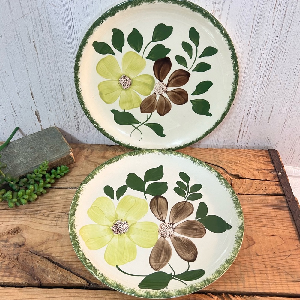 Vintage Blueridge southern potteries plates 9 1/4”
